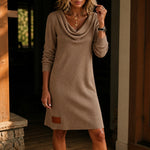 Cowl-Neck Ribbed Knit Sweater Dress